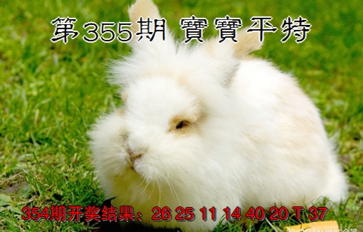 2024355期宝宝平特