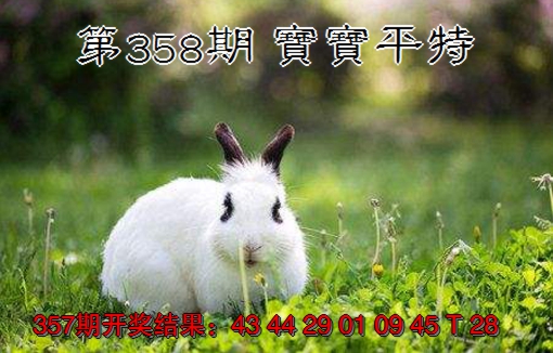 2024358期宝宝平特