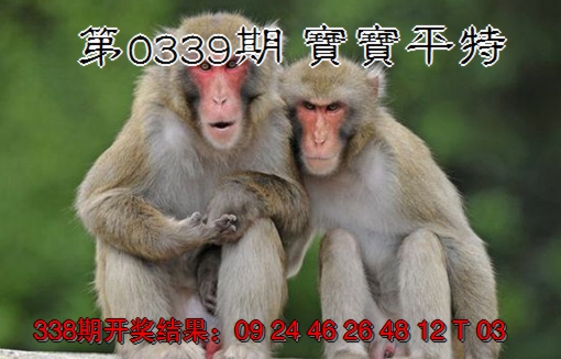 2024339期宝宝平特