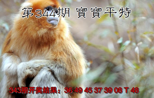 2024344期宝宝平特