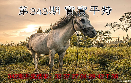 2024343期宝宝平特