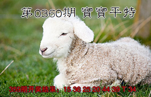 2024360期宝宝平特