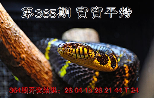 2024365期宝宝平特