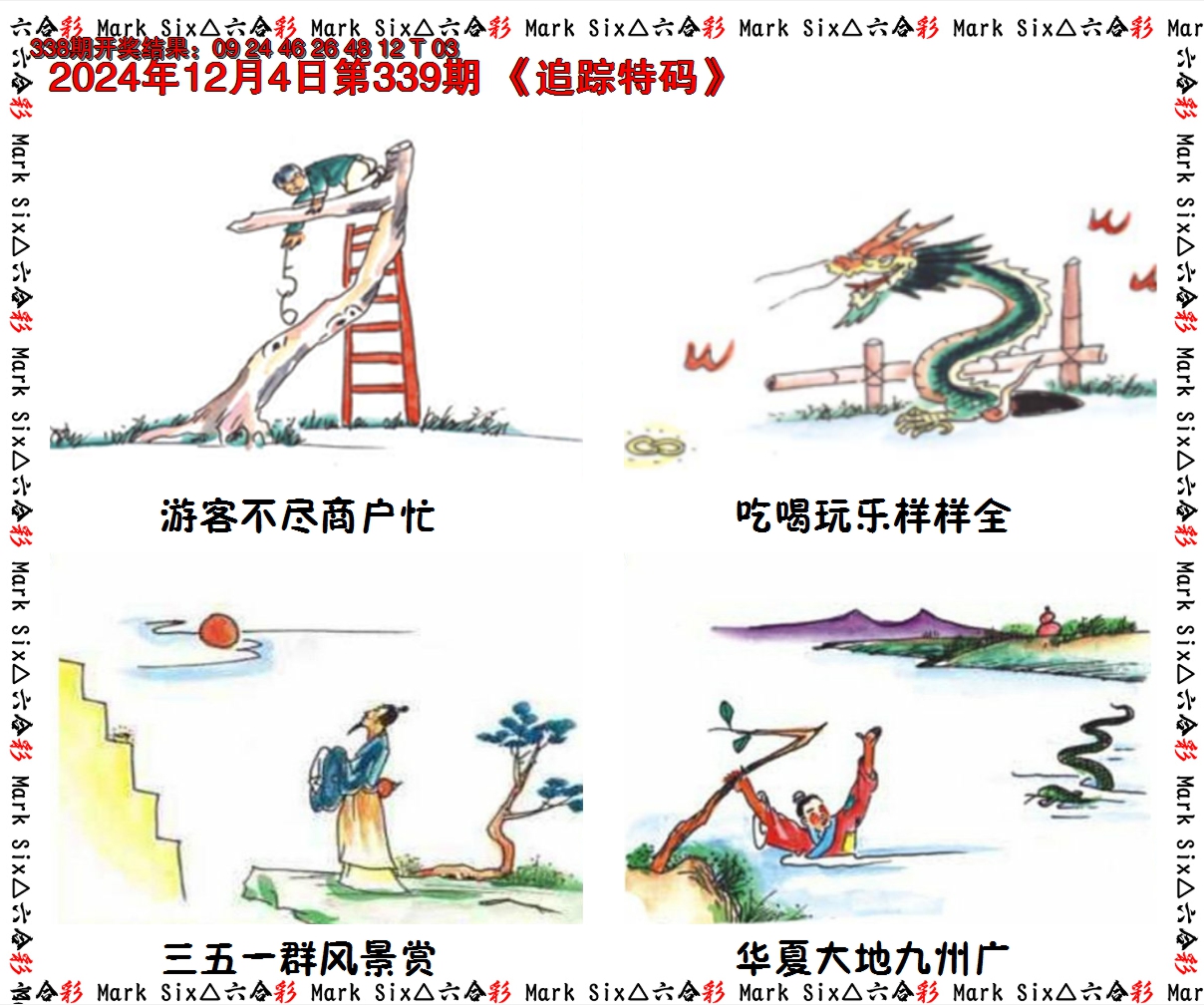 2024339期追踪特码