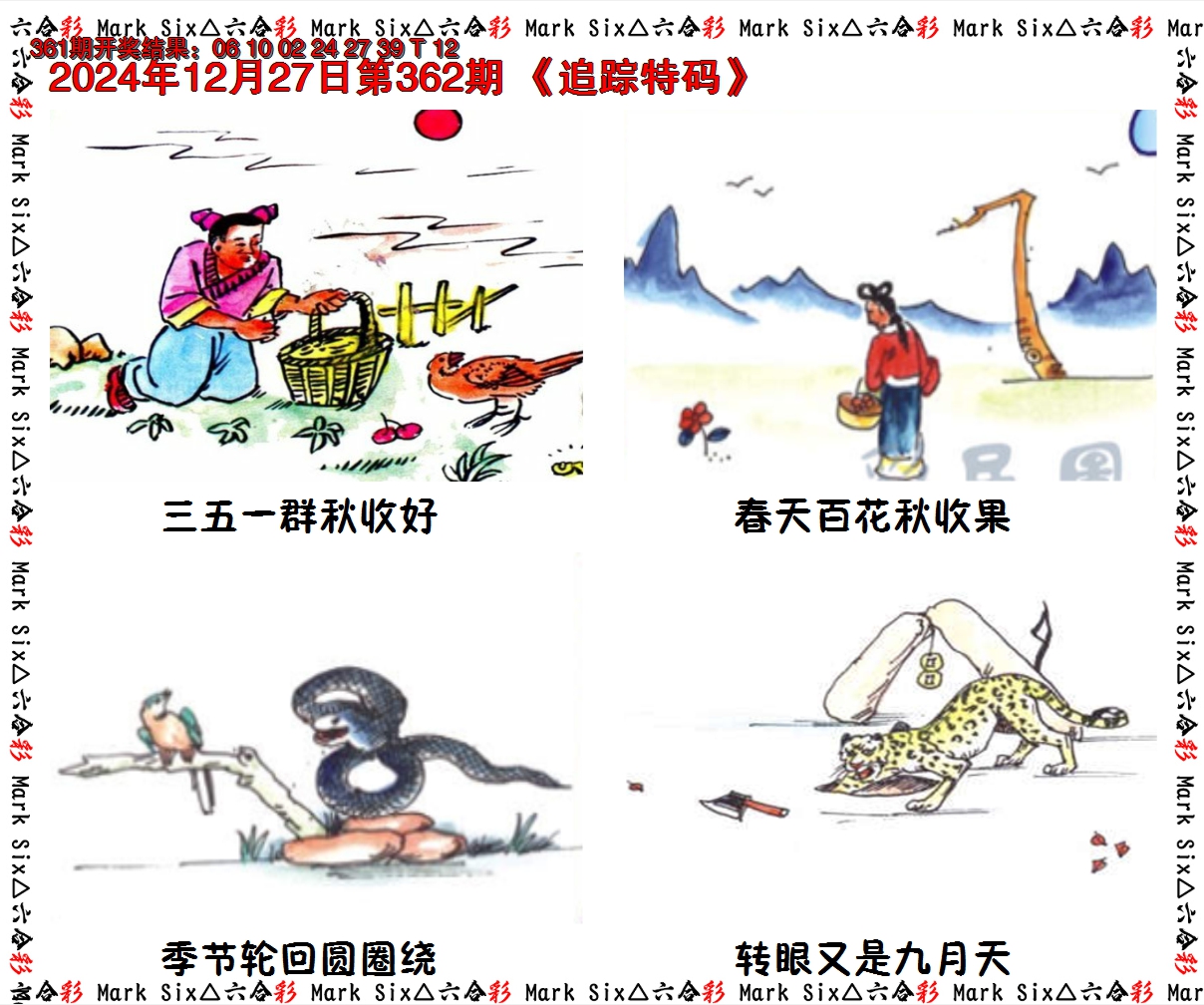 2024362期追踪特码