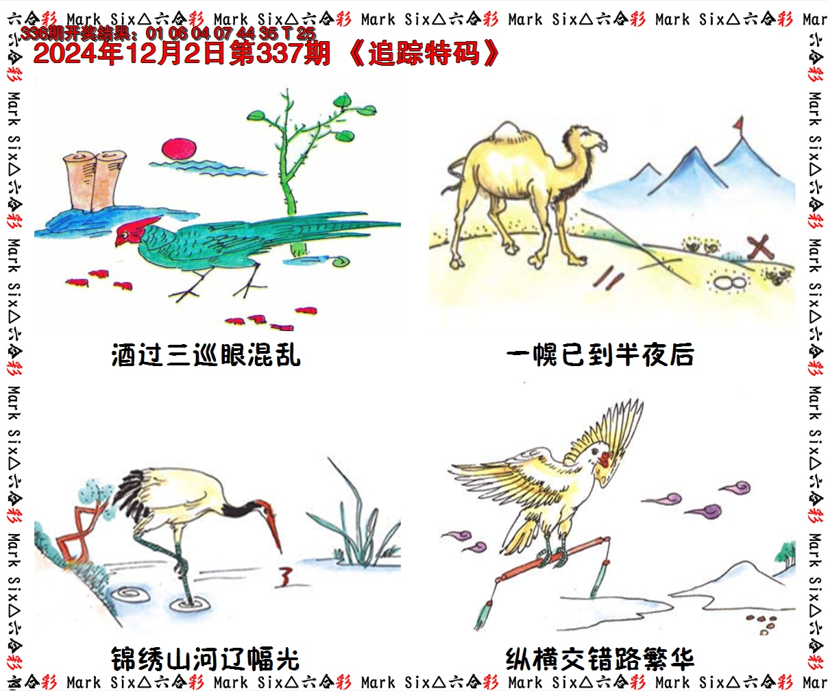 2024337期追踪特码