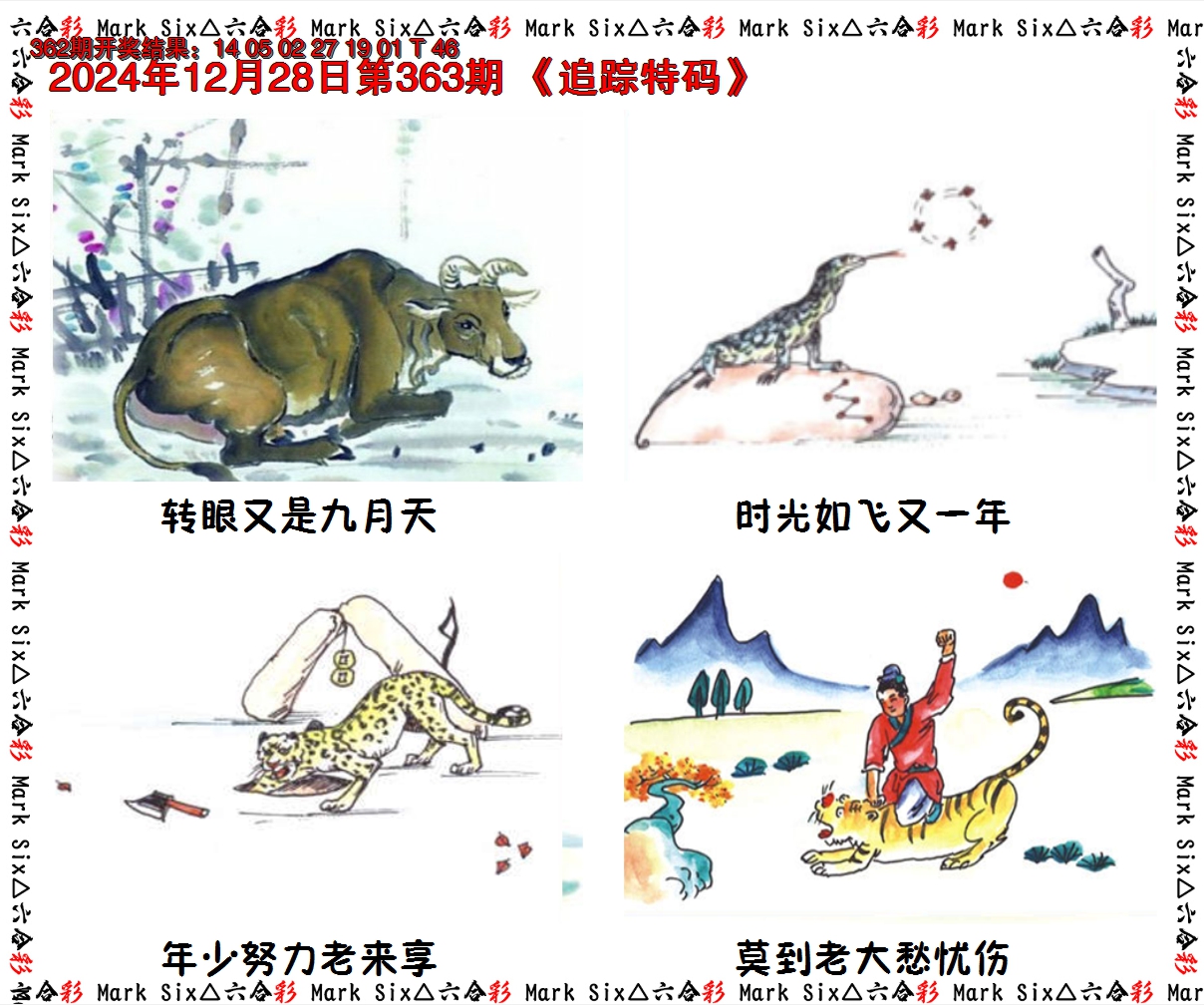 2024363期追踪特码