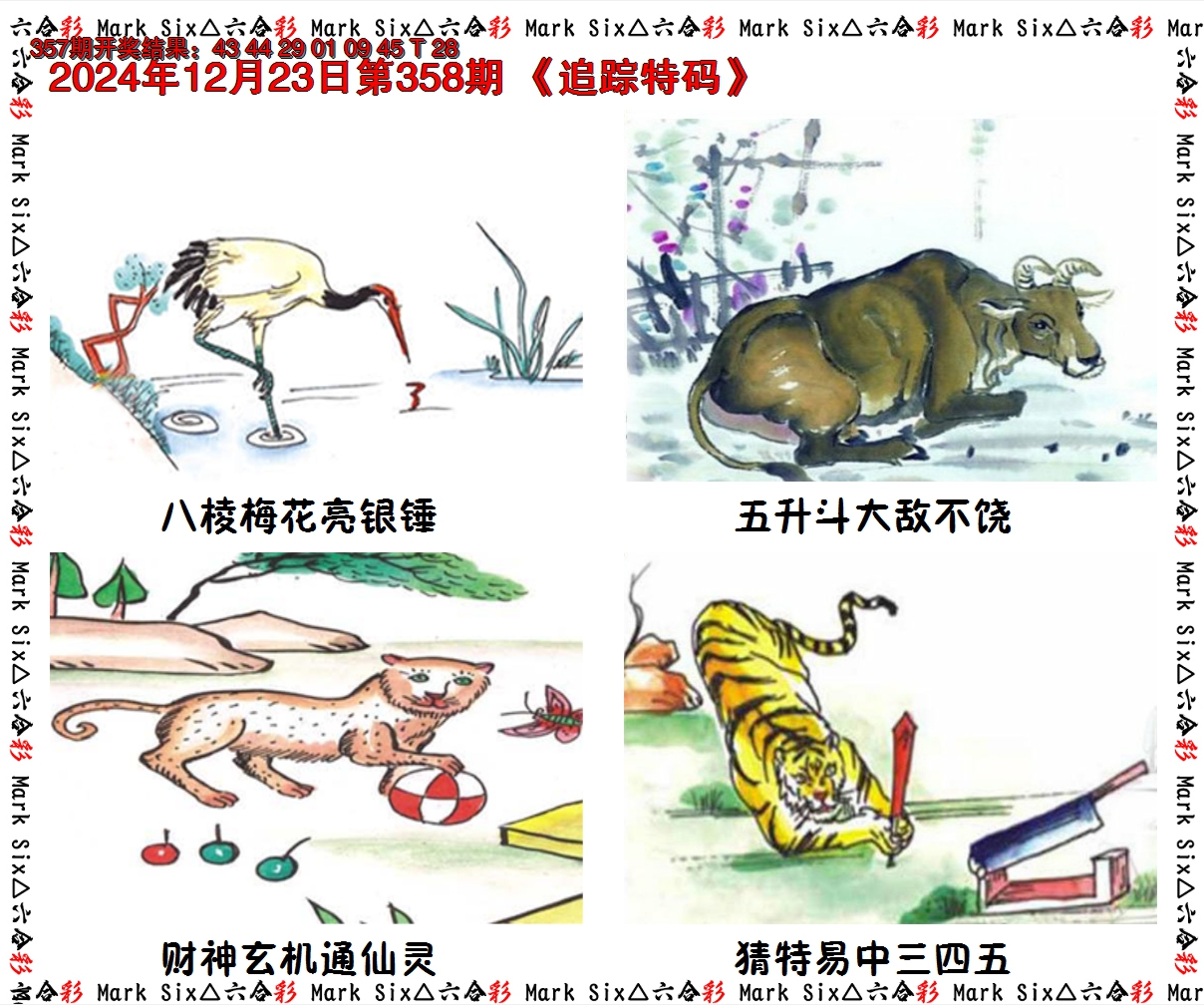 2024358期追踪特码