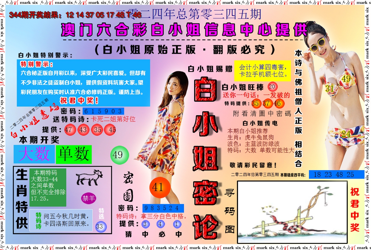 2024345期白小姐密论