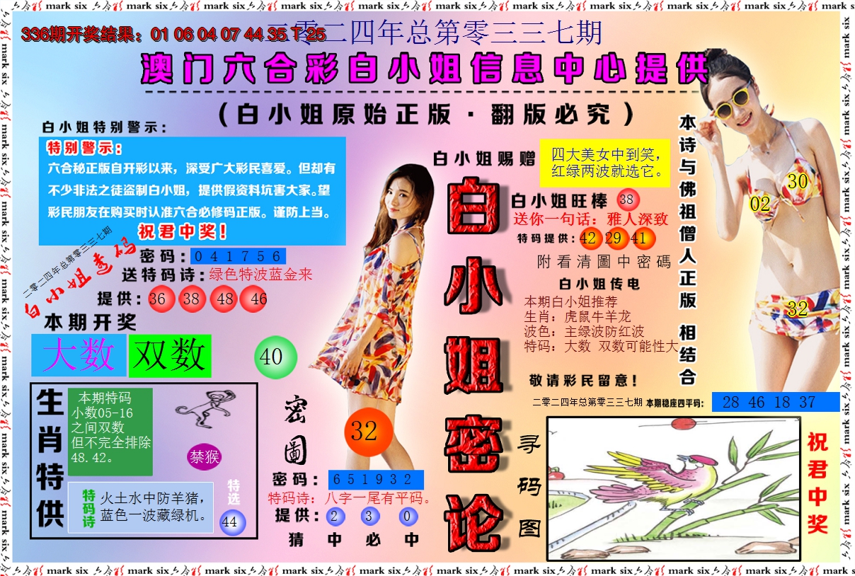 2024337期白小姐密论