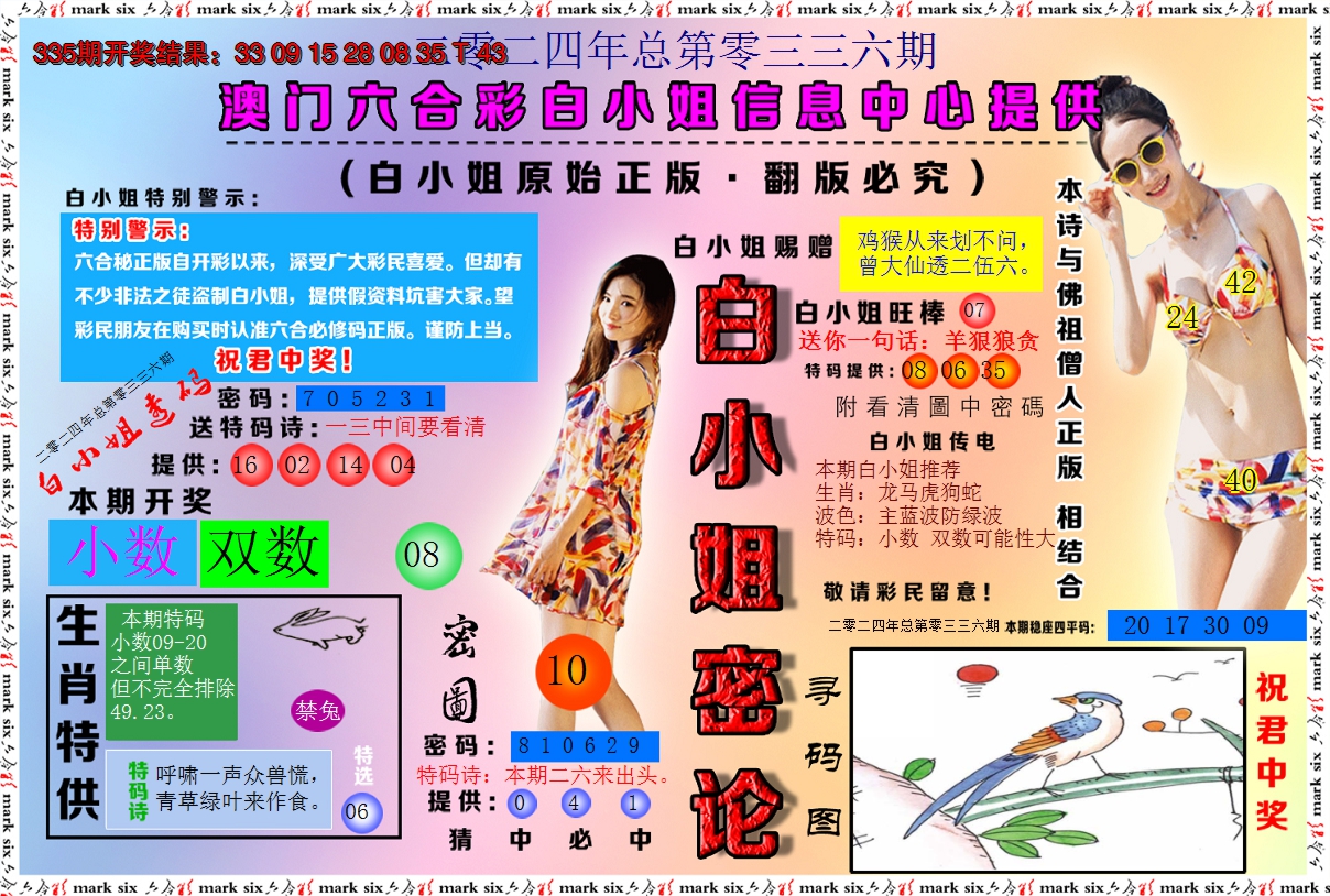 2024336期白小姐密论