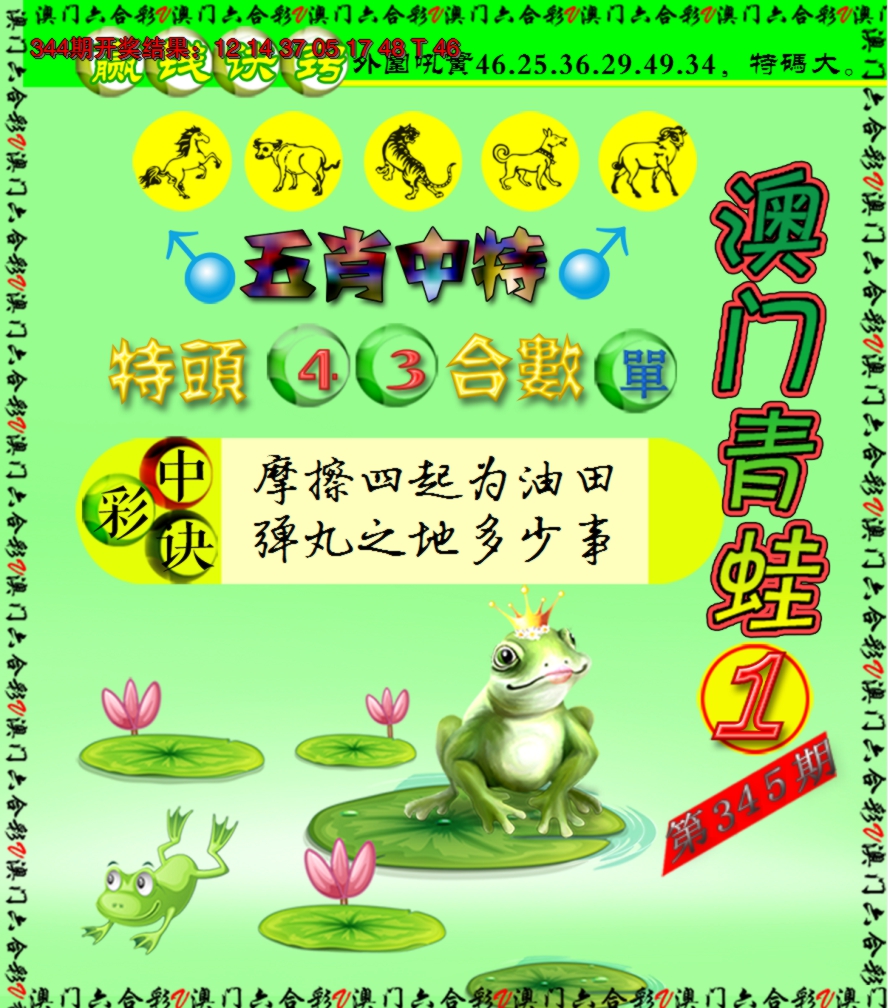 2024345期青蛙系列1