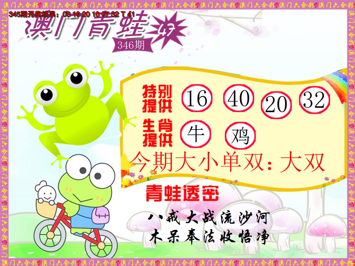 2024346期青蛙系列47