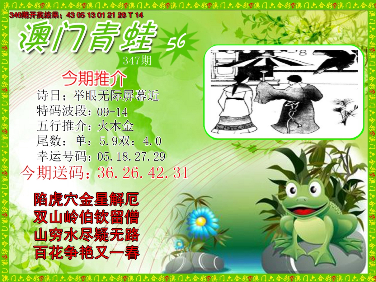 2024347期青蛙系列56
