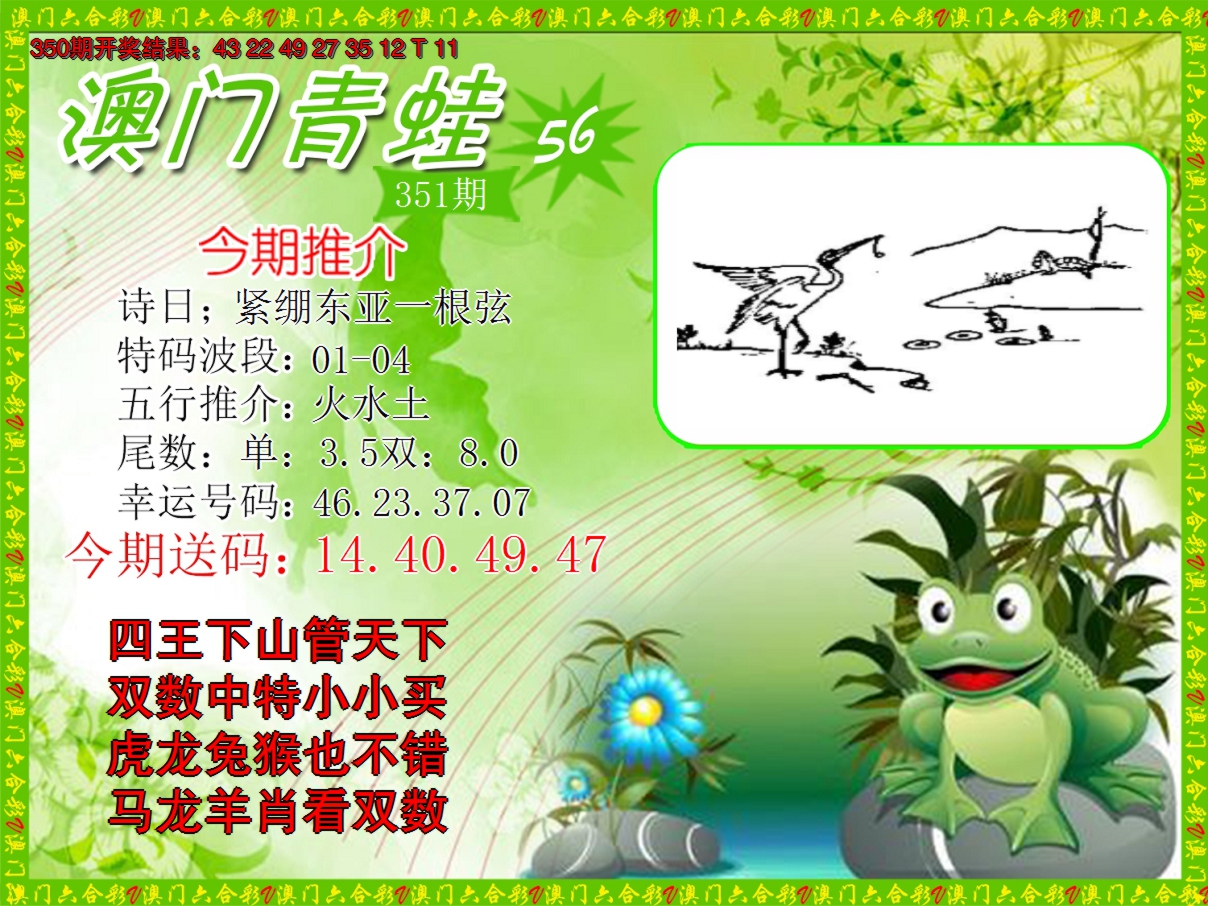 2024351期青蛙系列56