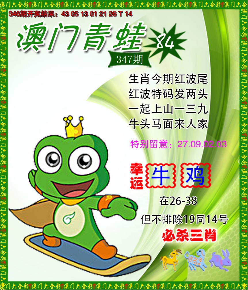 2024347期青蛙系列84