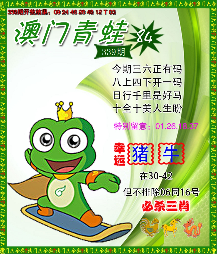 2024339期青蛙系列84
