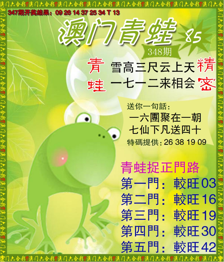 2024348期青蛙系列85
