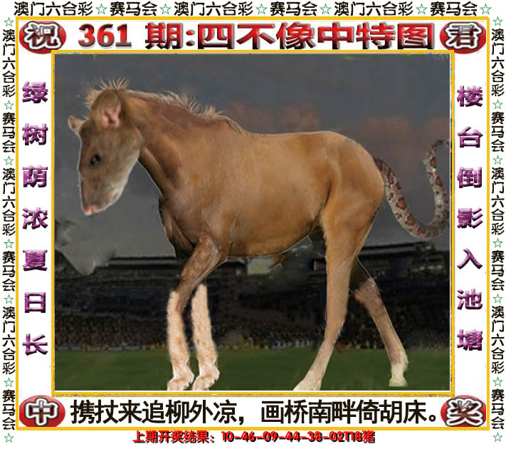 2024361期四不像中特图