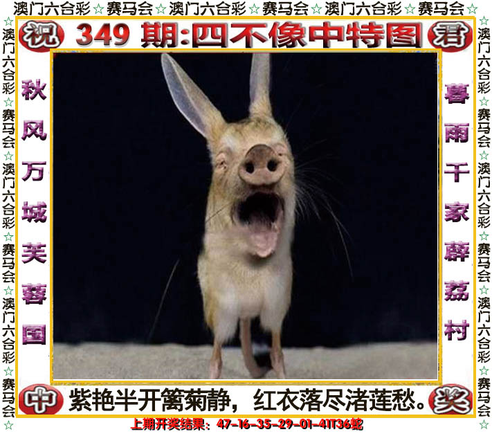 2024349期四不像中特图