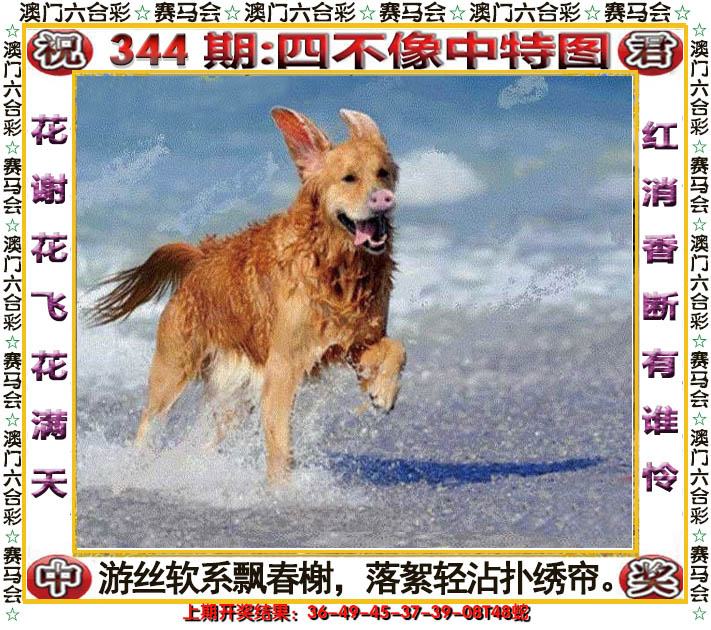 2024344期四不像中特图