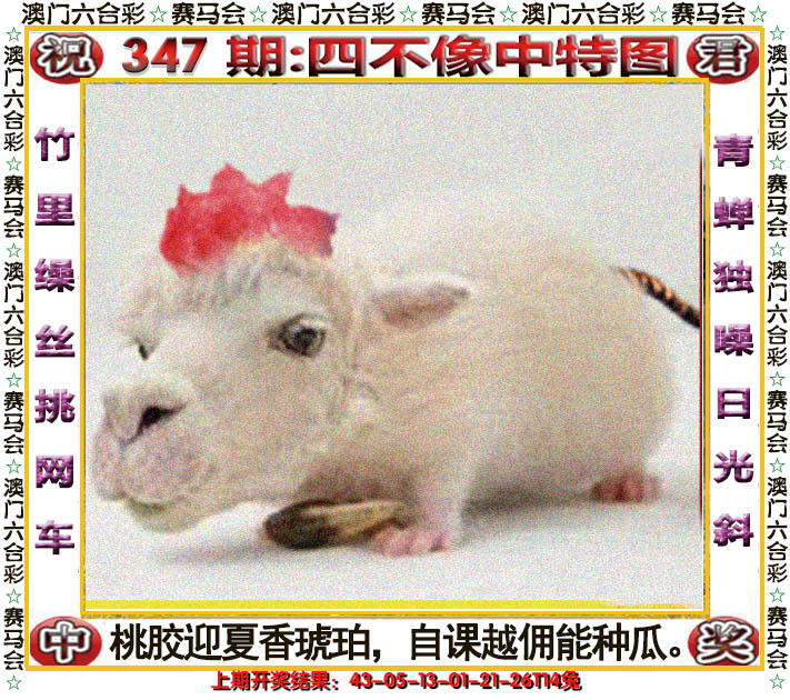 2024347期四不像中特图