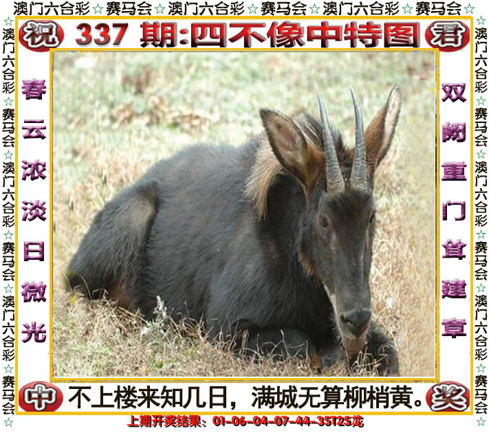 2024337期四不像中特图