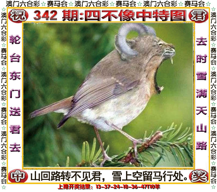 2024342期四不像中特图