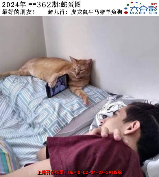 2024362期正版蛇蛋图