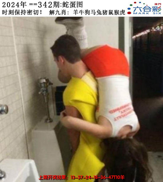 2024342期正版蛇蛋图