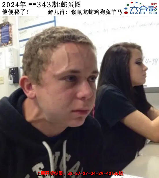 2024343期正版蛇蛋图