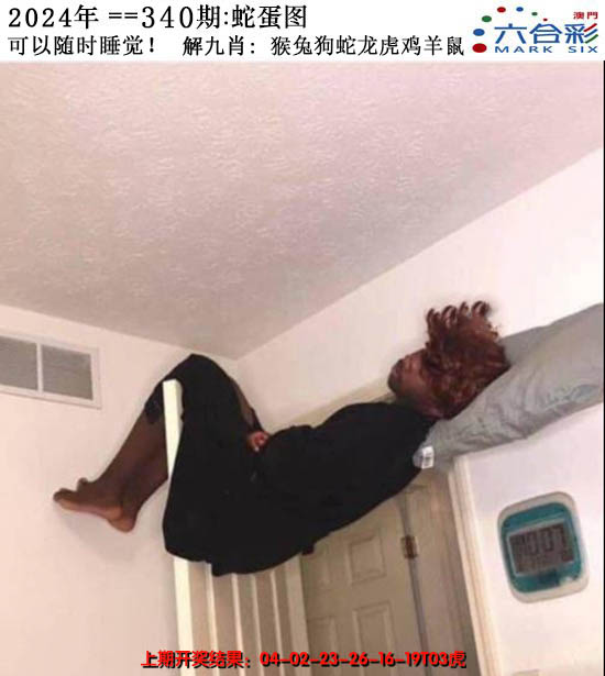 2024340期正版蛇蛋图
