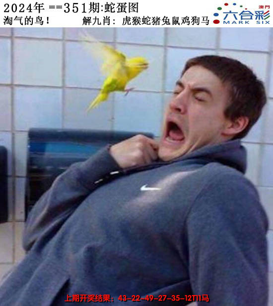 2024351期正版蛇蛋图