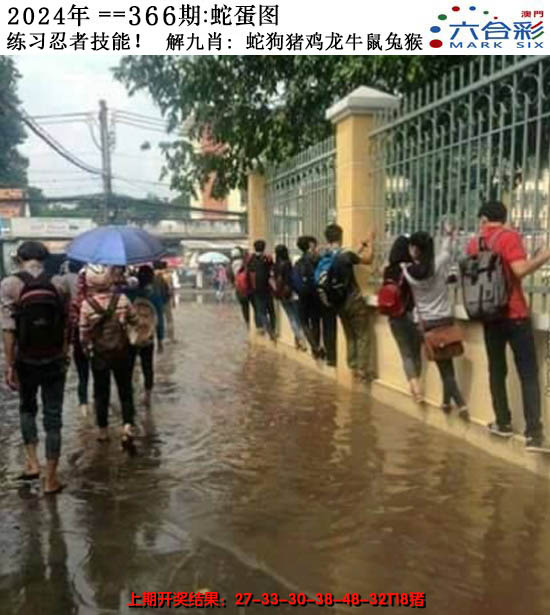 2024366期正版蛇蛋图