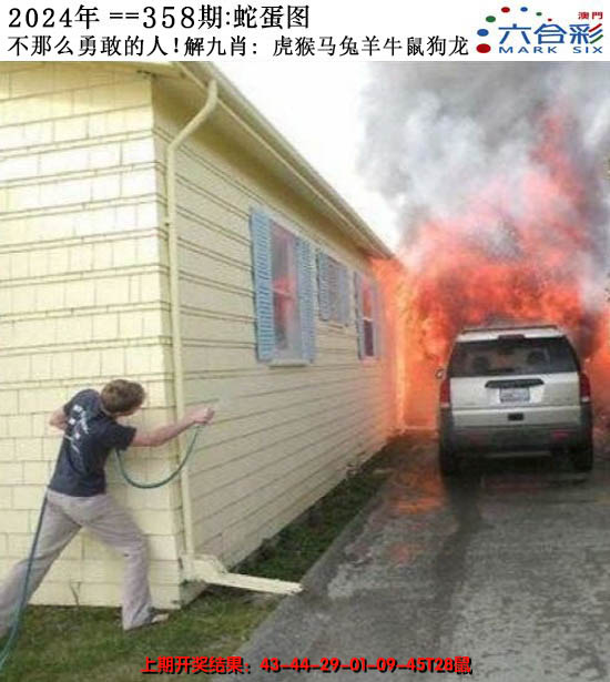 2024358期正版蛇蛋图