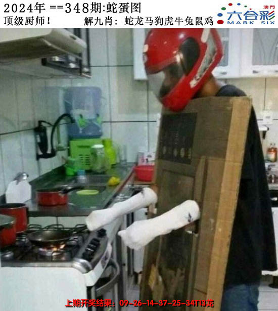 2024348期正版蛇蛋图