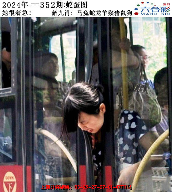 2024352期正版蛇蛋图