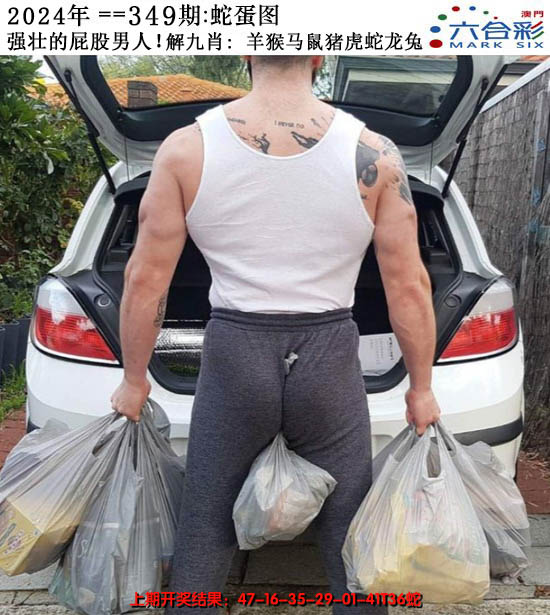2024349期正版蛇蛋图