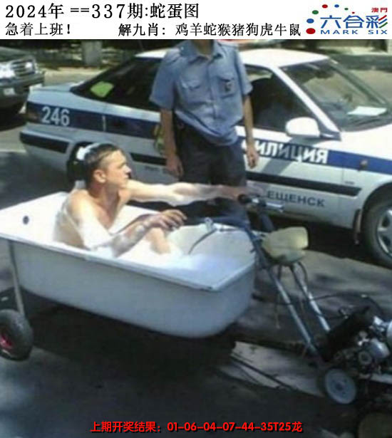 2024337期正版蛇蛋图