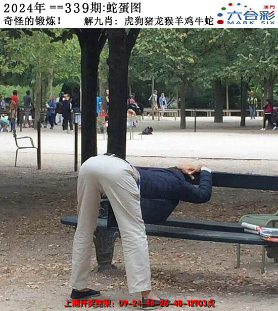 2024339期正版蛇蛋图