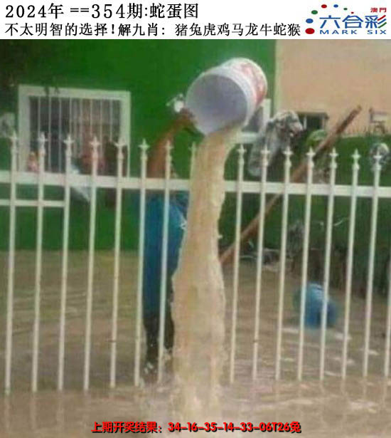 2024354期正版蛇蛋图