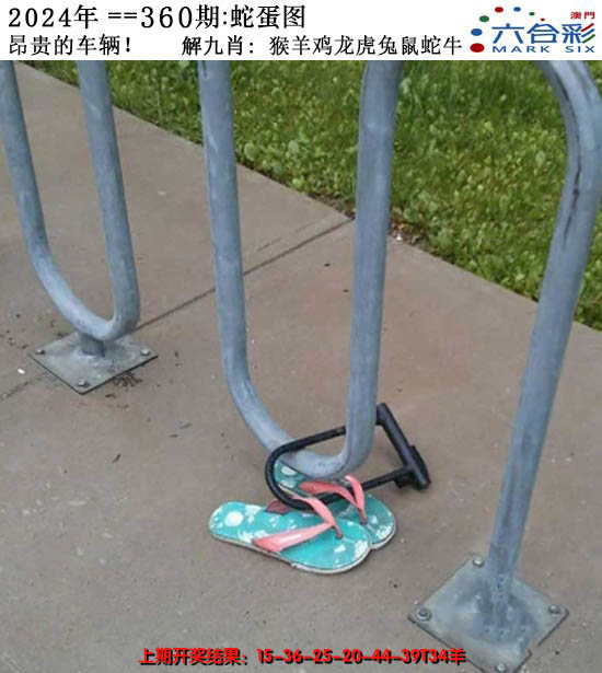 2024360期正版蛇蛋图