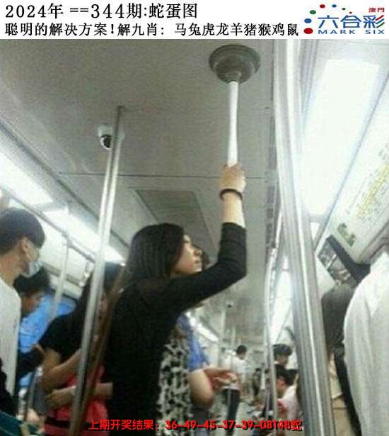 2024344期正版蛇蛋图