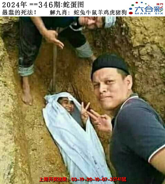 2024346期正版蛇蛋图