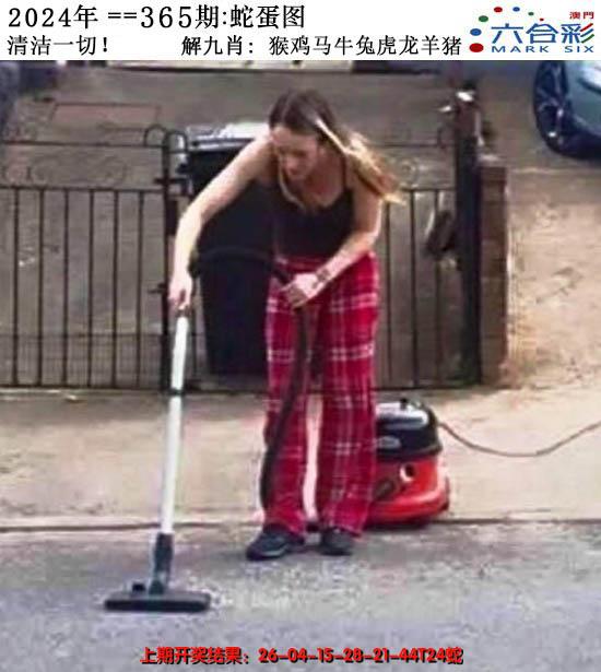 2024365期正版蛇蛋图
