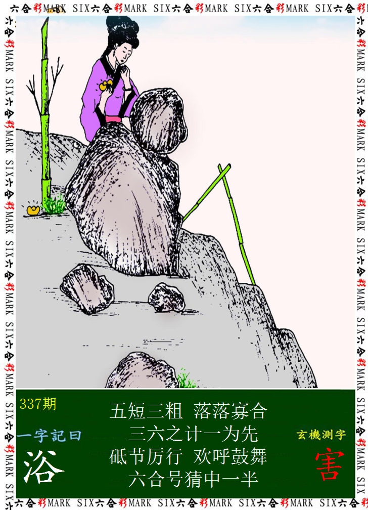 2024337期悟入其图