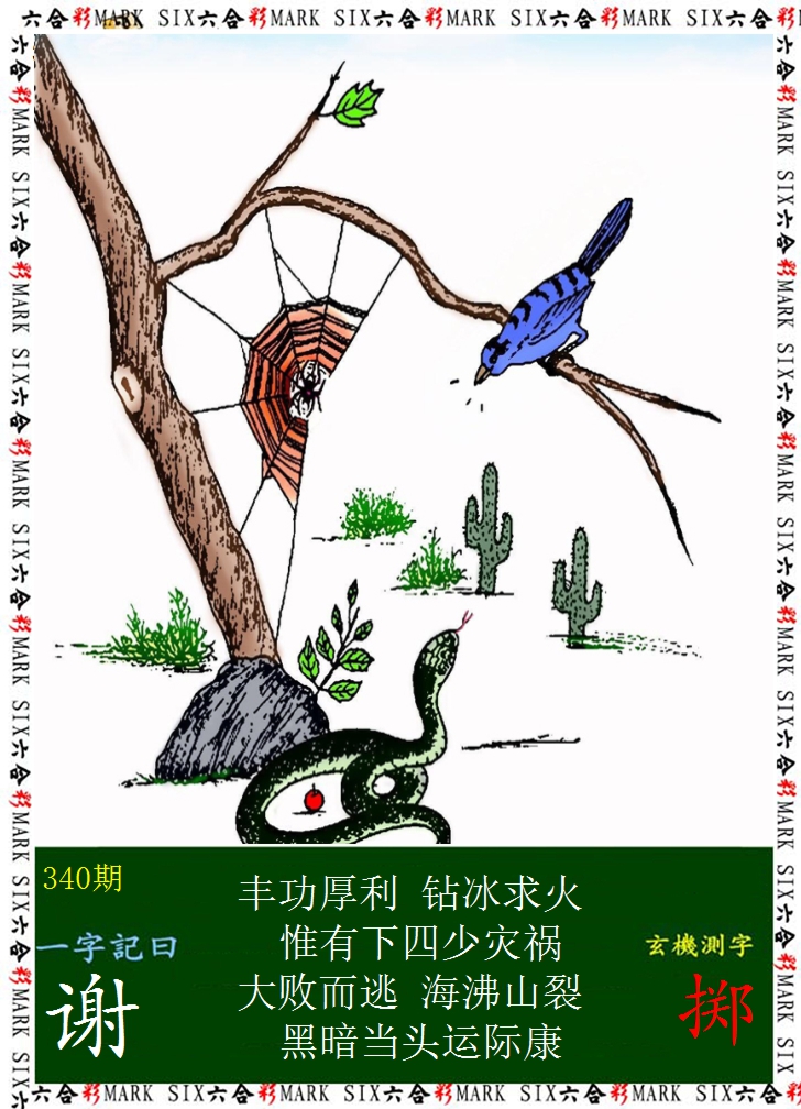 2024340期悟入其图