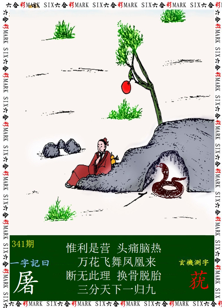 2024341期悟入其图
