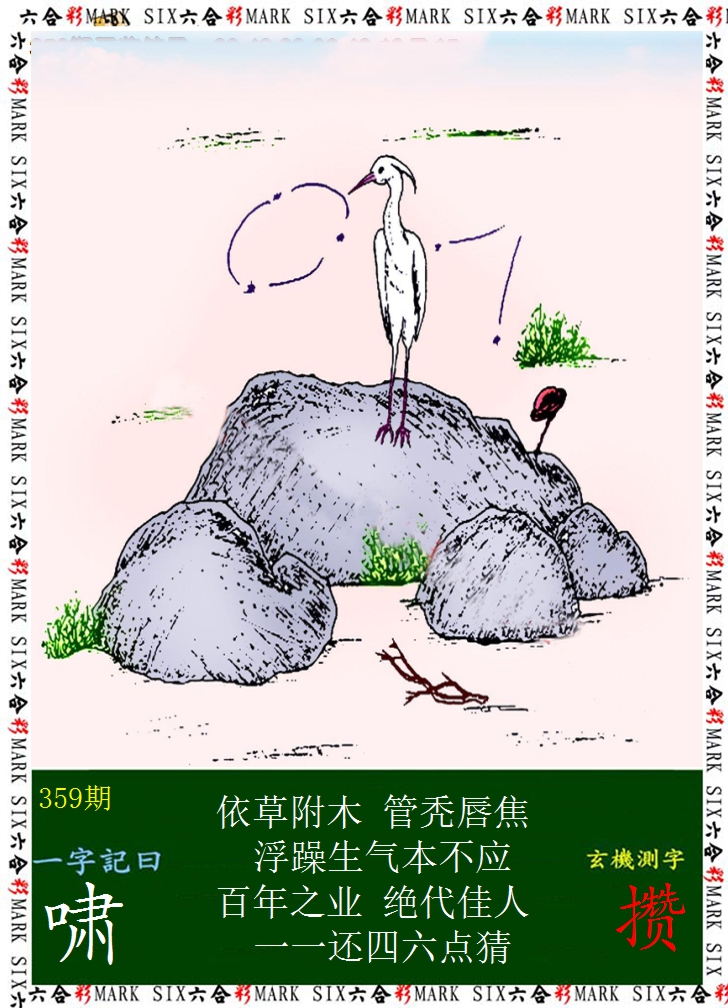 2024359期悟入其图