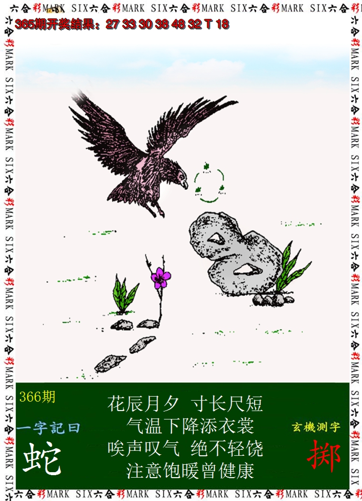 2024366期悟入其图